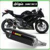 ninja300 kawasaki akrapovic carbon